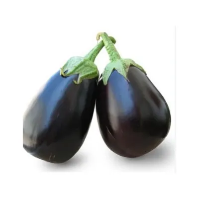 Agrokar Topan Patlıcan Tohumu 10GR 5Adet