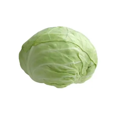 Bursa Tohum Bt Bafra Beyaz Lahana 25Gr 5 Paket