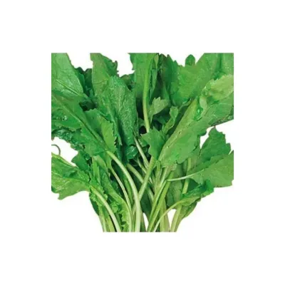 Bursa Tohum BT Bu-Ter Tere Otu 25Gr 5 Paket