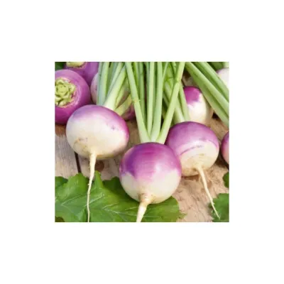 Bursa Tohum Bt Burşal Şalgam 5 Paket