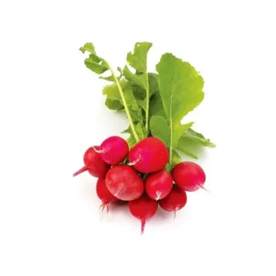 Bursa Tohum Cherry Belle Fındık Turp 25Gr 5 Paket
