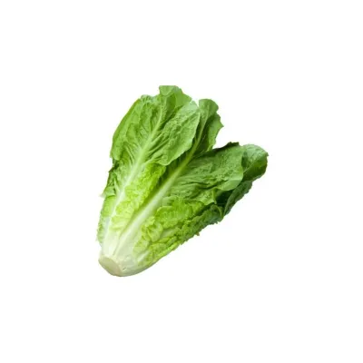 Bursa Tohum Yedikule 5701 Marul 25Gr 5 Paket