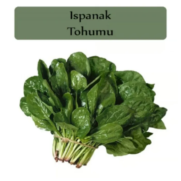 AGROKAR MATADOR ISPANAK 25 GR