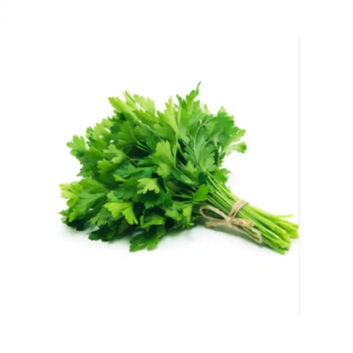 Bursa Tohum Maydanoz D.Gaint İtaliana İri Yaprak 25Gr 5 Paket