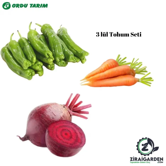 Bursa Tohum Nantes Scarlet Havuç - Trilob Üç Burun Tipi Köy Biberi - Pancina Kırmızı Pancar 3lü Tohum Seti