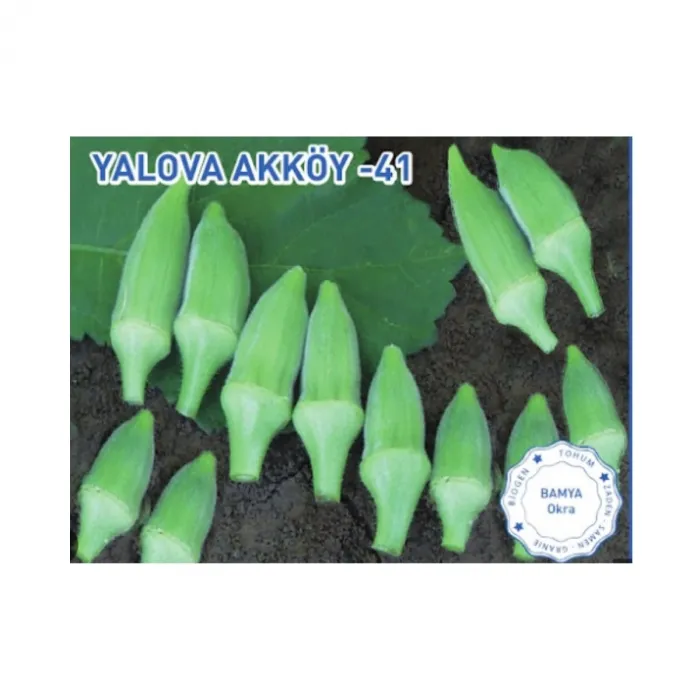 Bursa Tohum Yalova Akköy 41 Bamya 25GR 2 Paket