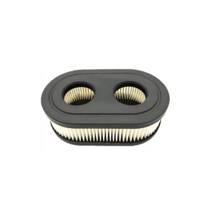 Hava Filitresi Brigs 450-500-450E-575E İki Delikli