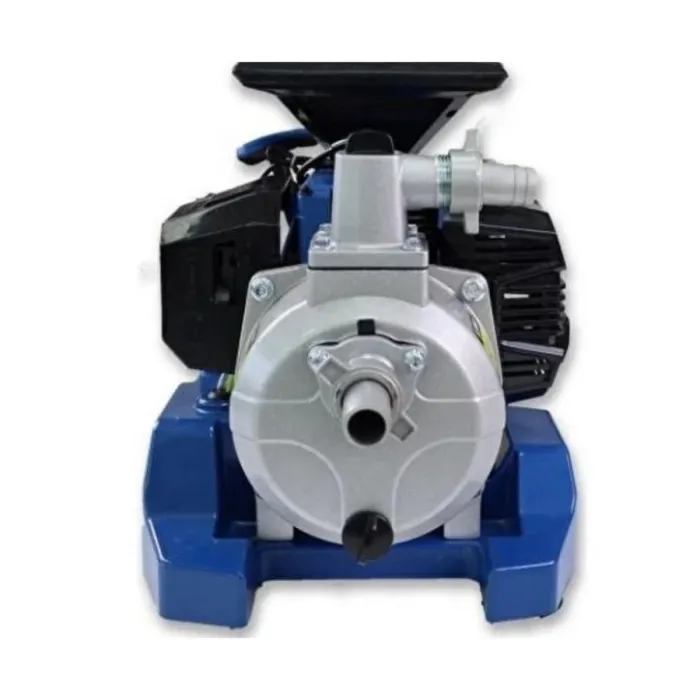 Hyundai Hwp10 Su Motoru Benzinli 1 HS.HWP10