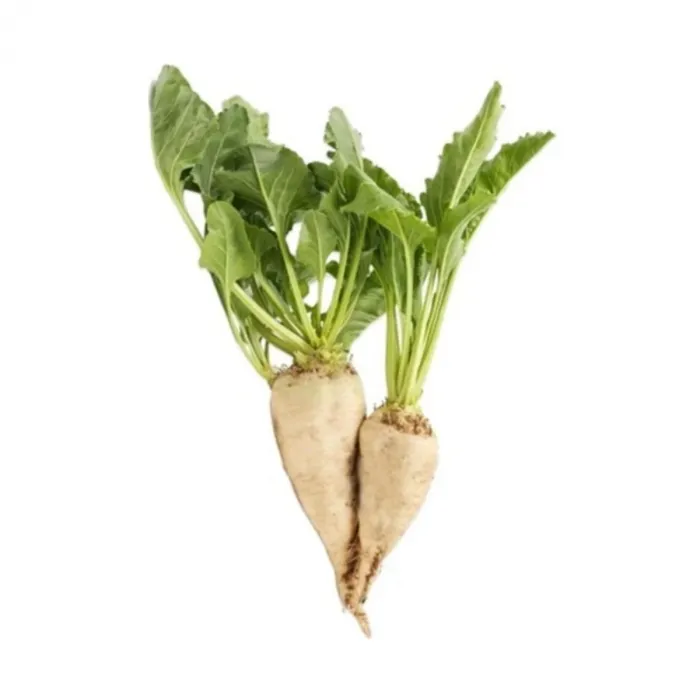 Şeker Pancarı Beyaz 100 gr Tohum