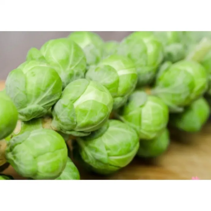 Simagro Tohum Brüksel Lahanası Tohumu 200 Adet Tohum