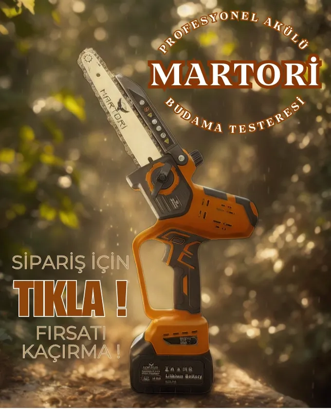 MARTORİ AKÜLÜ