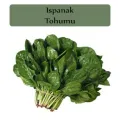 Agrokar Matador Ispanak 25 GR Geniş Yapraklı Ispanak Tohumu 5 li Paket