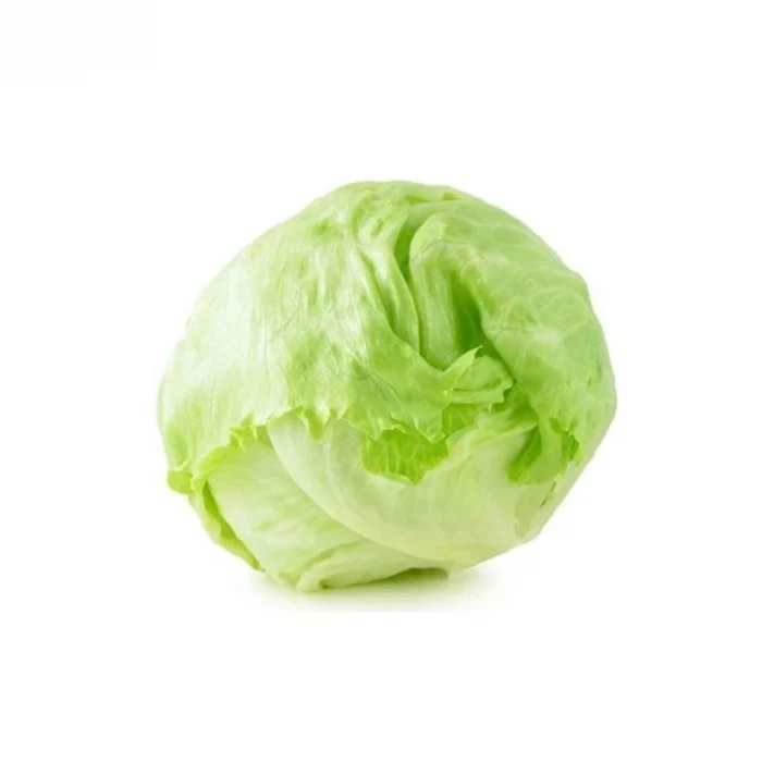 Agrokar Iceberg Marul 5Gr