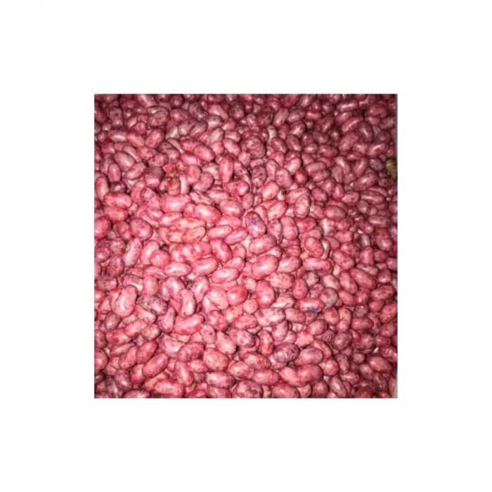 Gina Oturak Fasulye Tohumu 100 gr