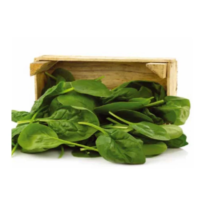 Vena F1 Ispanak Tohumu 100 gr