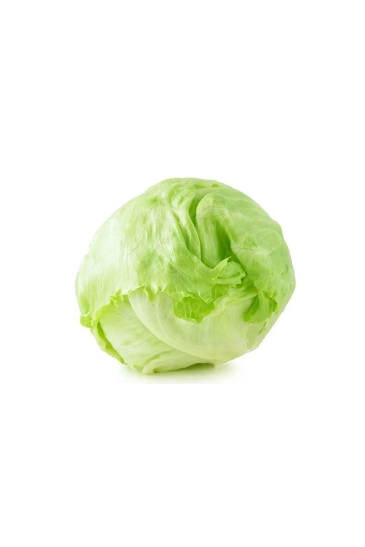 Agrokar Iceberg Marul 5Gr