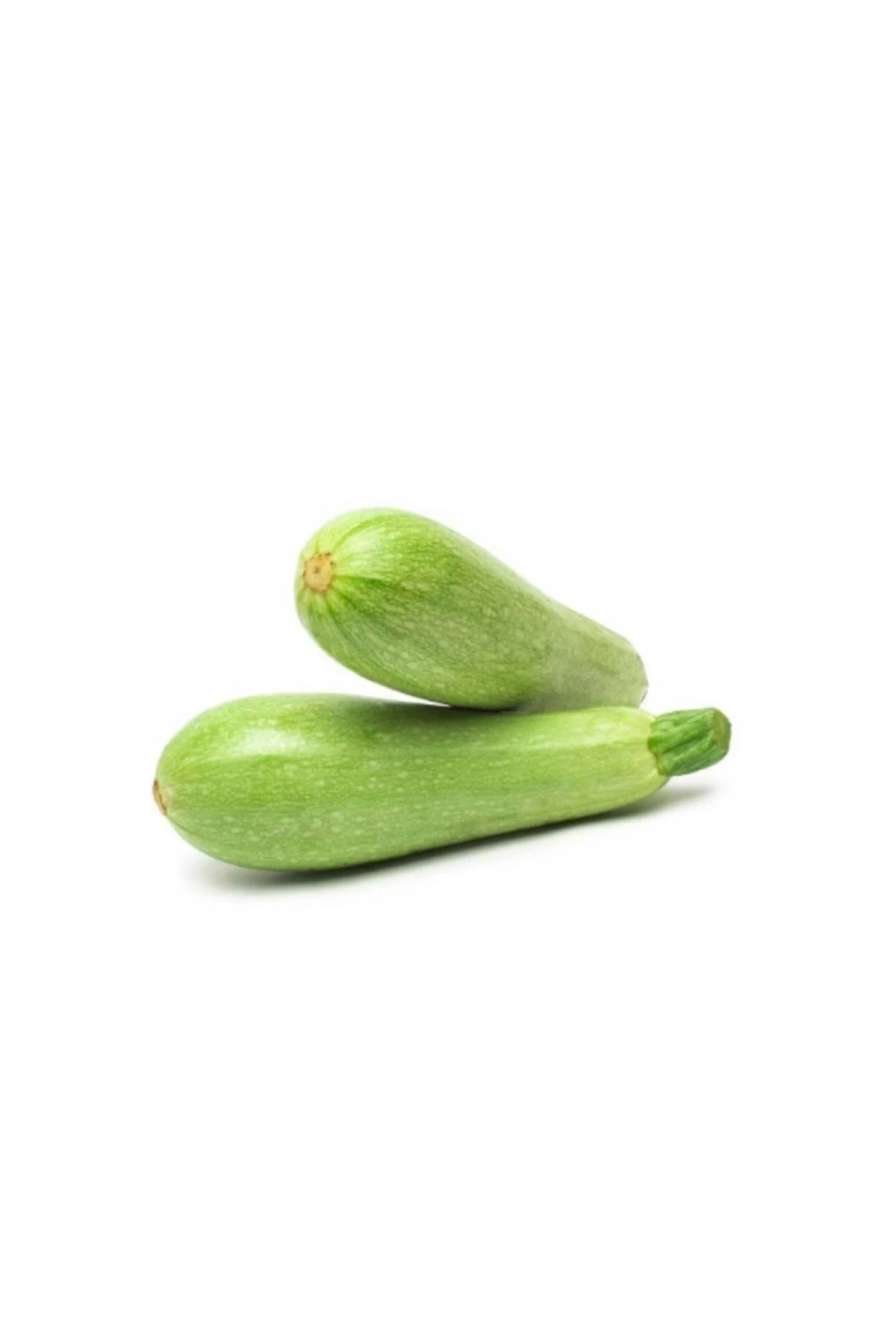 Bursa Kabak Bur Sakız Kabak 25Gr