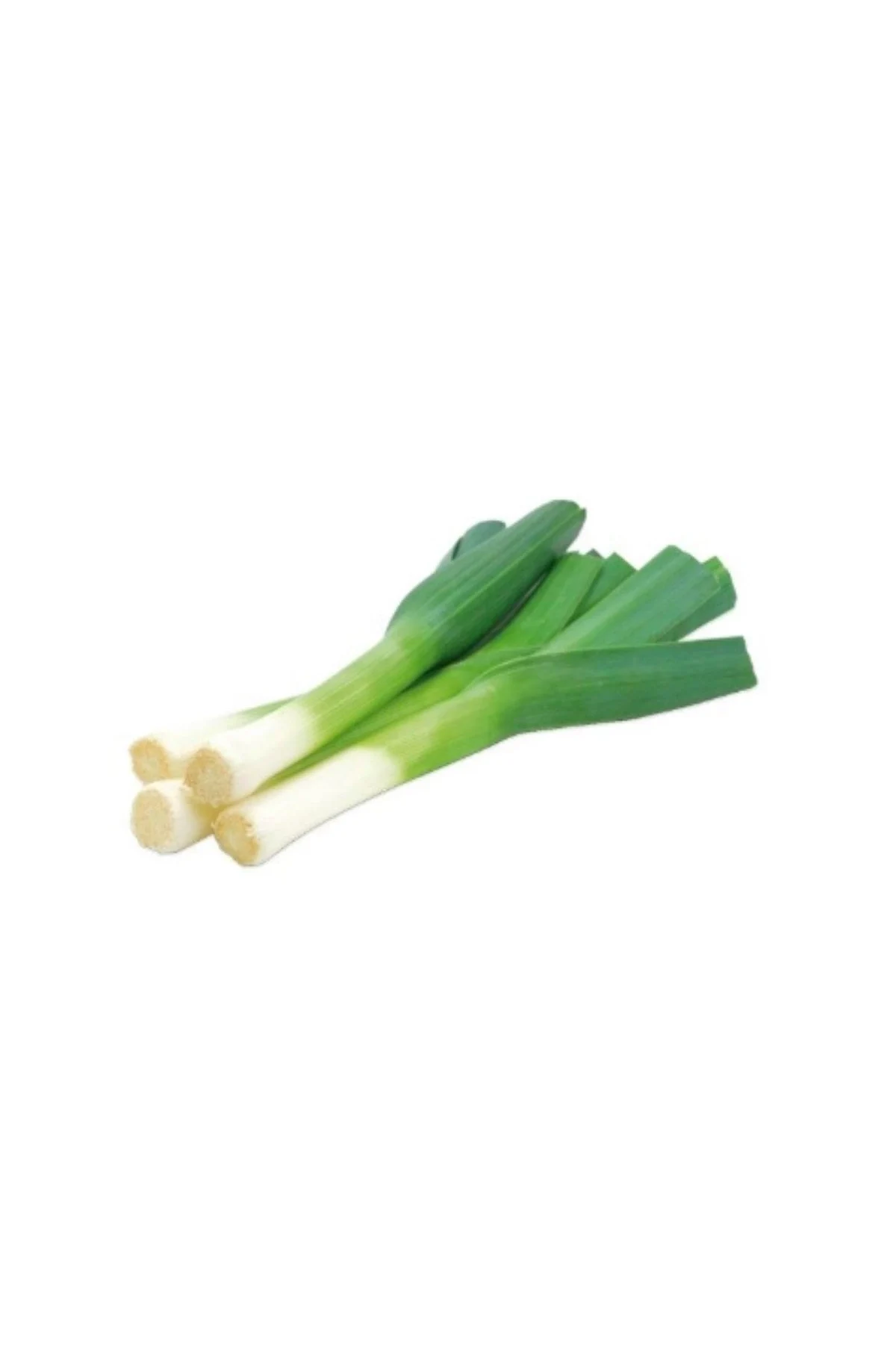 Ekip Tarım Yerli Kısa Bacak Kara Pırasa 25Gr