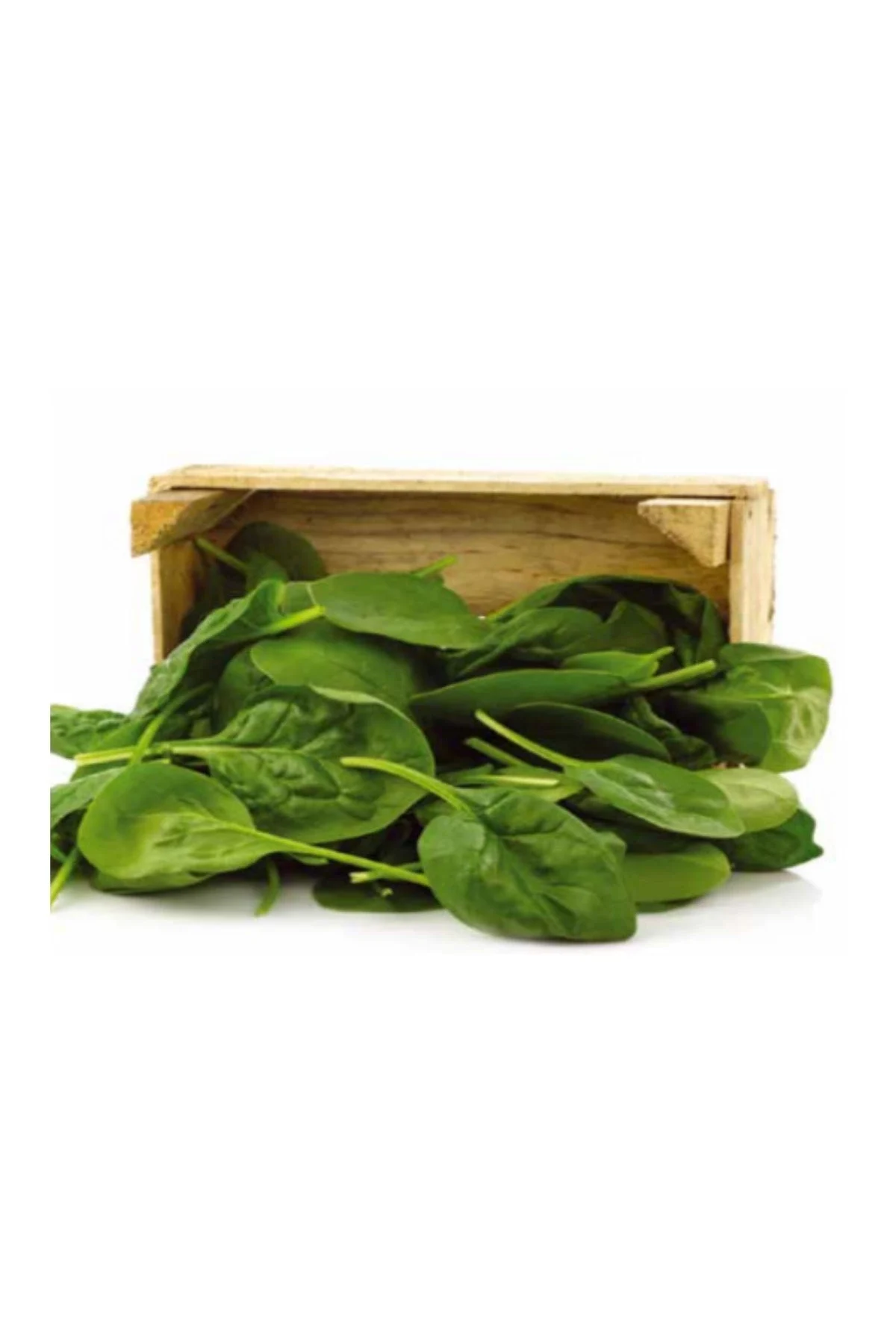 Vena F1 Ispanak Tohumu 100 gr