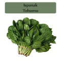 AGROKAR MATADOR ISPANAK 25 GR