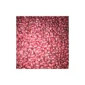 Gina Oturak Fasulye Tohumu 100 gr