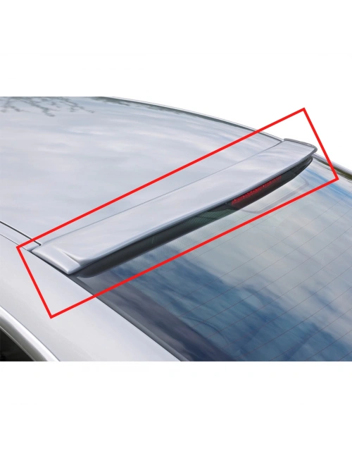 BWM E90 CamÜstü Spoiler BOYALI