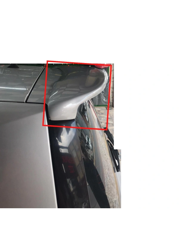 Scenic 2 Spoiler BOYALI