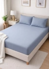 Clasy Ranforce Lastikli Çarşaf Seti Çift Kişilik Mavi ÇKLÇ-239 %100 Pamuk