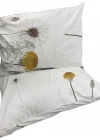 Clasy Ranforce %100 Pamuk 2 Adet Yastık Kılıfı Çiçek Desenli Beyaz