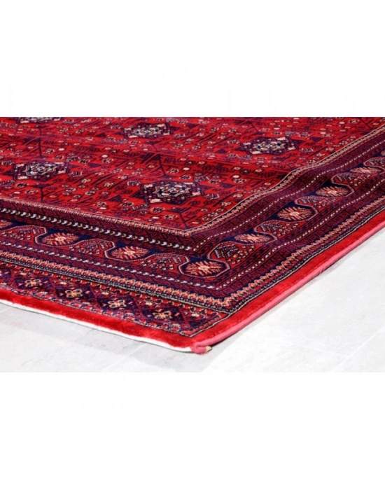Dinarsu Halı 160x230 Asya Koleksiyonu 39772-010 Kırmızı