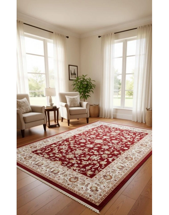 Dinarsu Halı 200x290 Asya Koleksiyonu 30003-010 Kırmızı