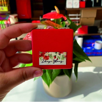 Kırmızı Deri Ayna