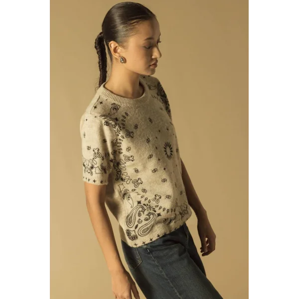 Baskılı Triko Kısa Kol Kazak-Taş