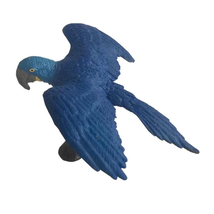 Minİ Mavi Macaw Papağanı