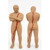 Kırılmış Bütünlük