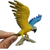 Minİ Sarı Macaw Papağanı