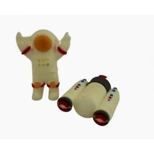 Astronot ve Uzay Mekiği