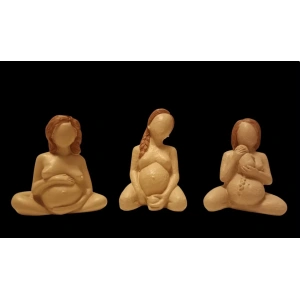 Hamilelikten Doğuma (3 lü set) (ÖN SİPARİŞ)