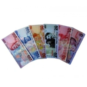 Sahte Para Oyun Seti