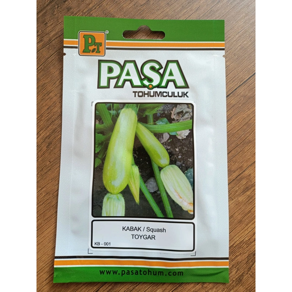 Paşa Tohumculuk Kabak Tohumu Toygar 5gr