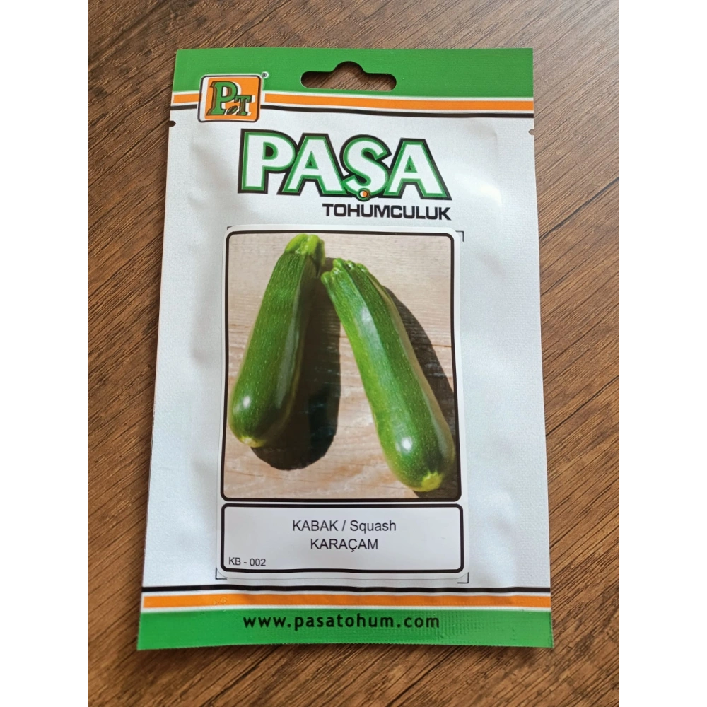 Paşa Tohumculuk Kabak Tohumu Karaçam 5 gr