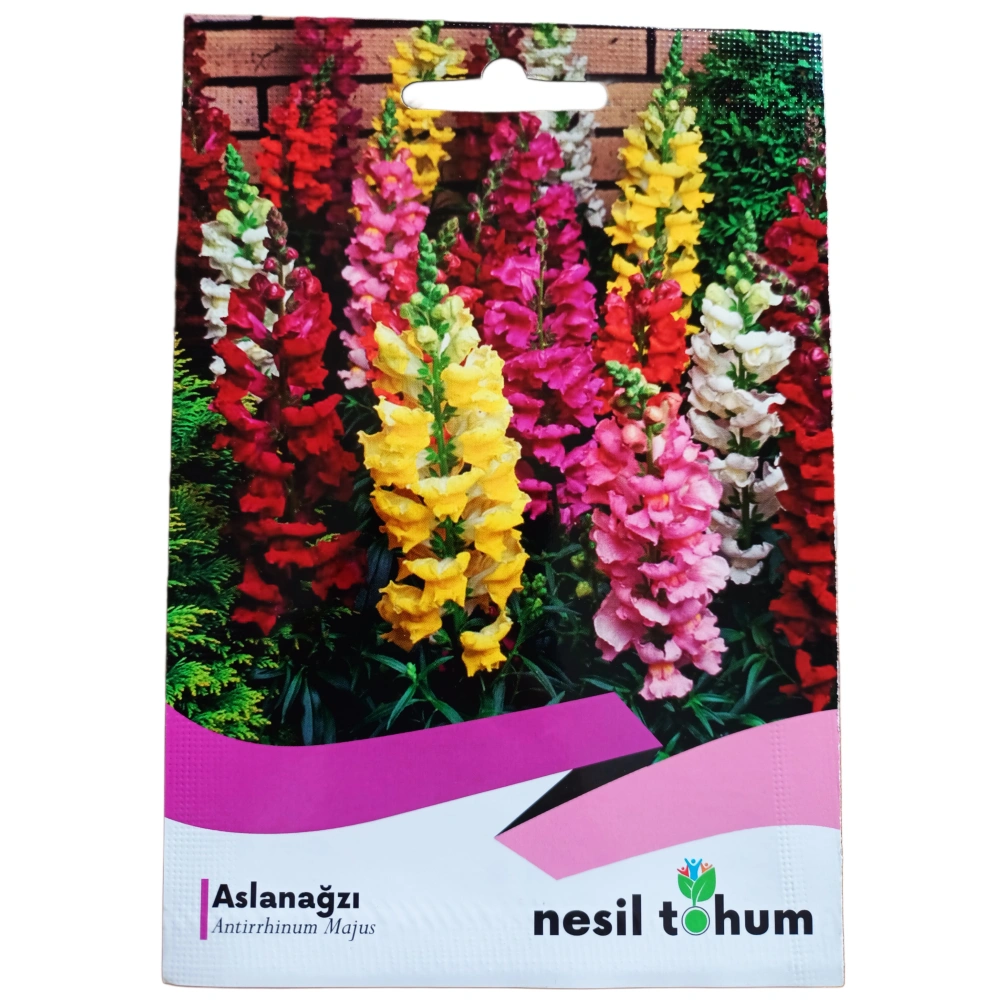 Nesil Tohum Aslanağzı Çiçek Tohumu 100 Adet