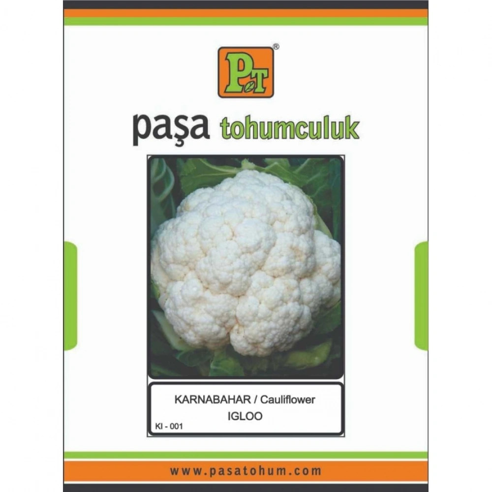 Karnabahar (IGLOO) 2 gr X2 Paket