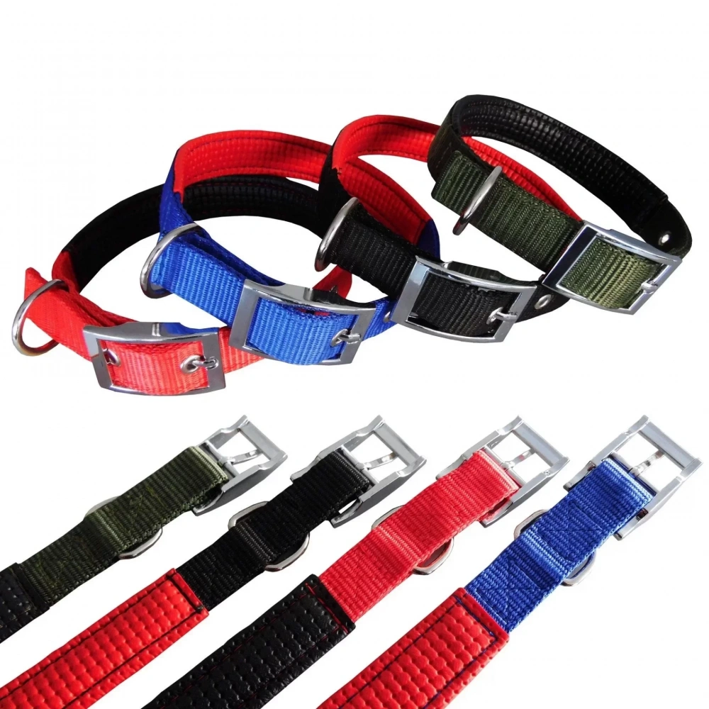 Köpek Boyun Tasması Hrb-026