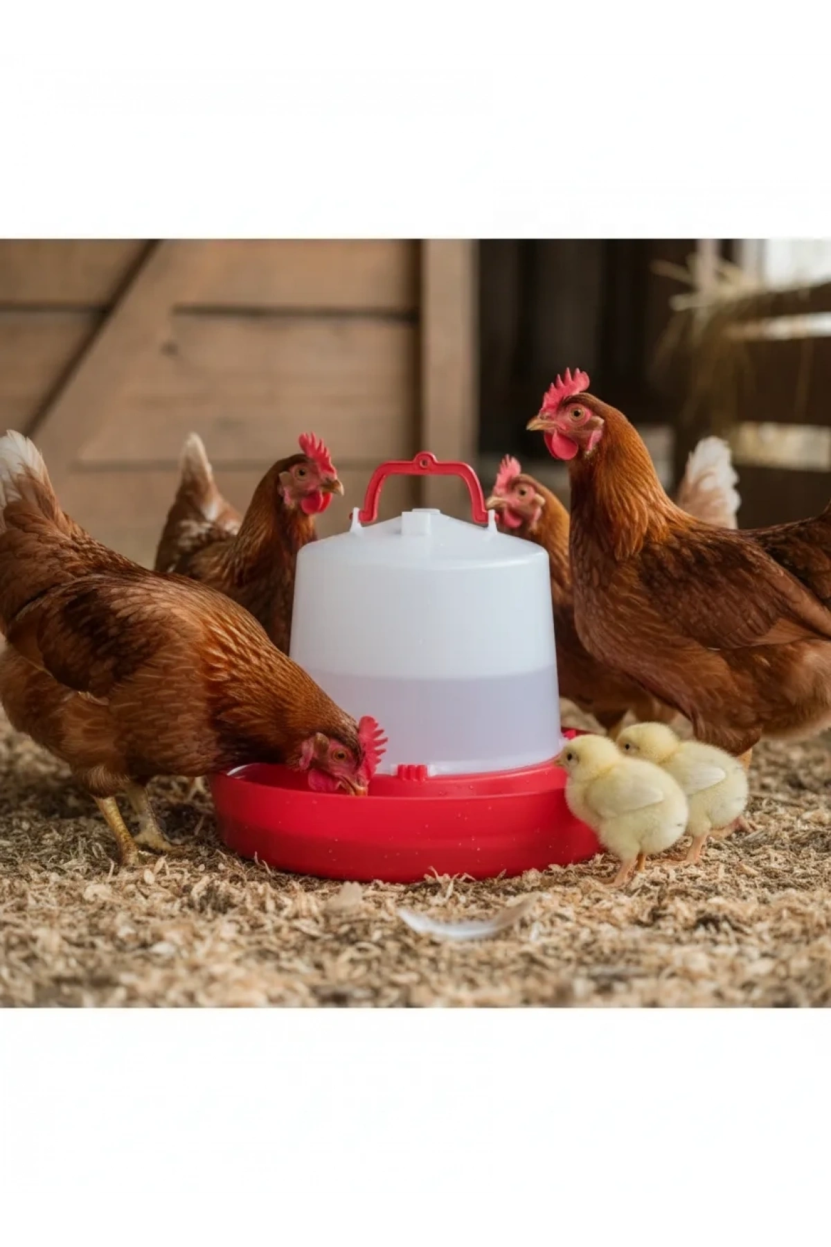 Askılı Tavuk Suluk 8 Lt