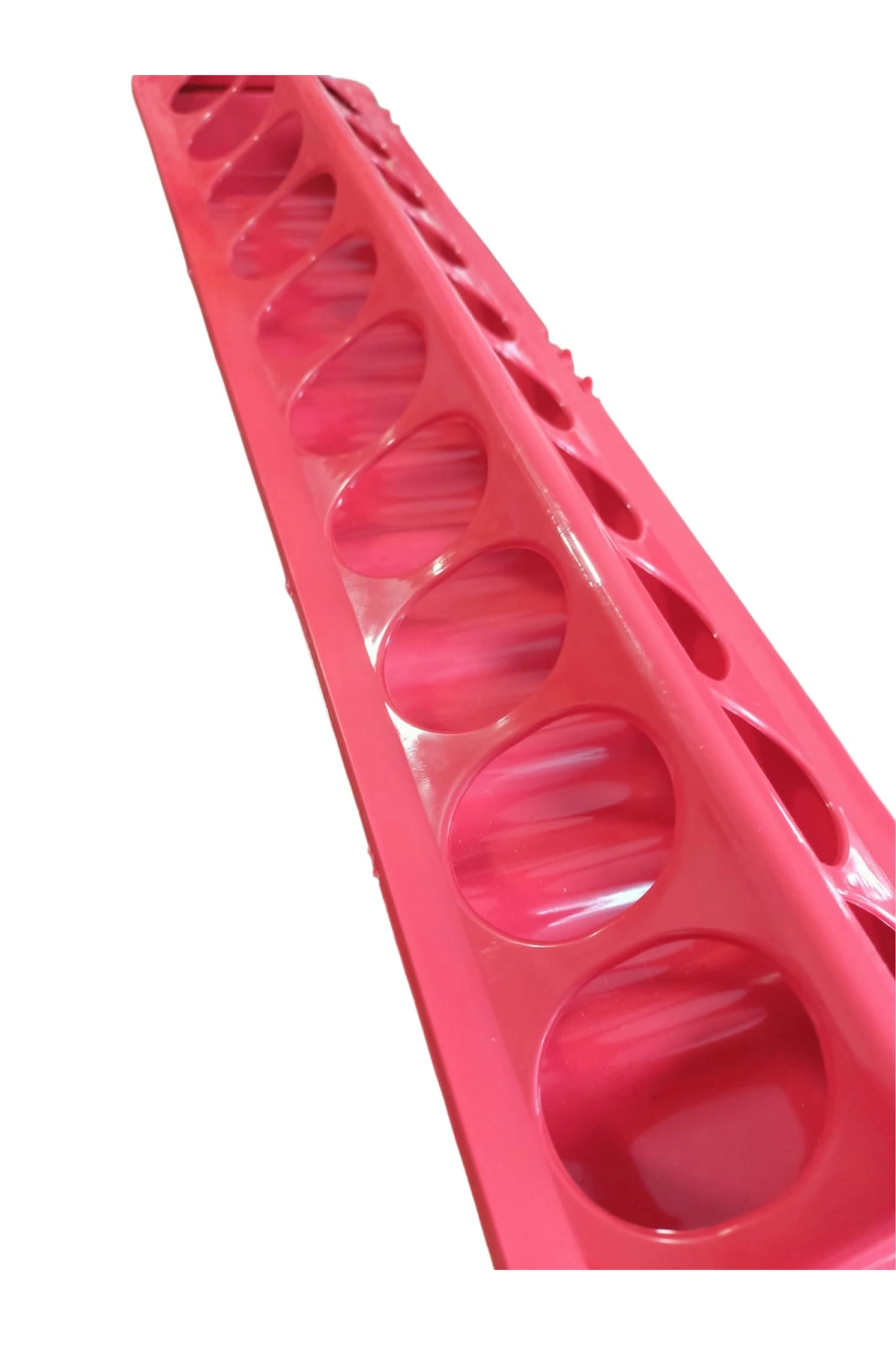 Bıldırcın Civciv Yemlik 50cm