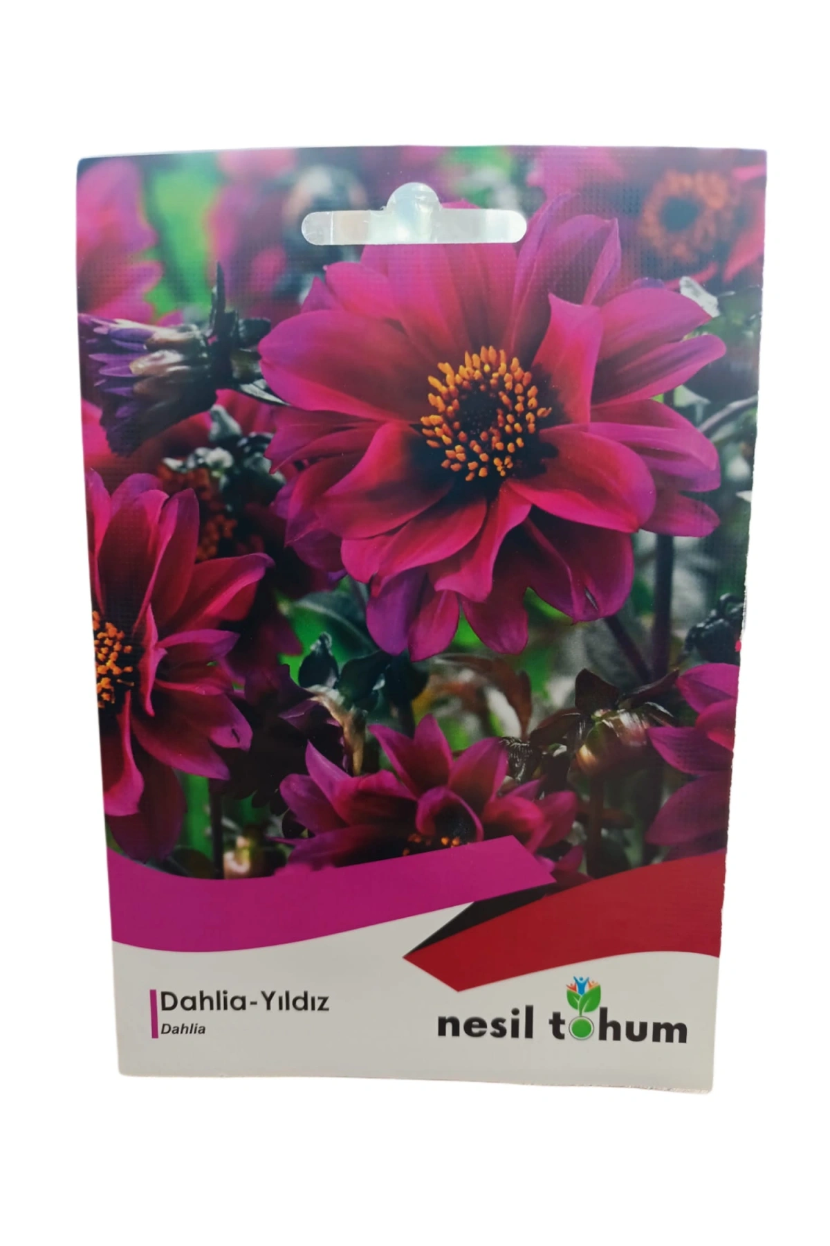 Nesil Tohum Dahlia-Yıldız Çiçeği Tohumu 30 Adet