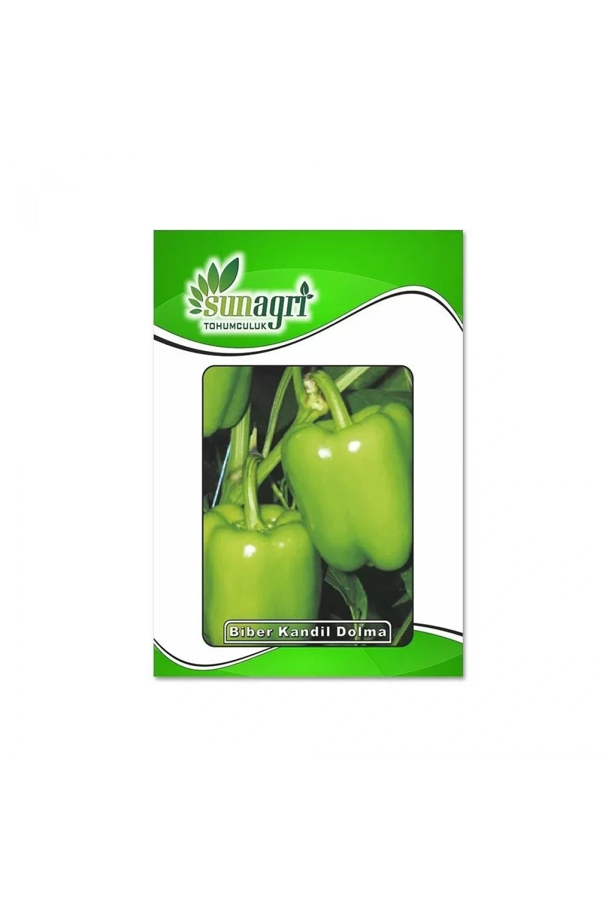 Sunagri Biber Kandil Dolması Tohumu 10 Gr Paket