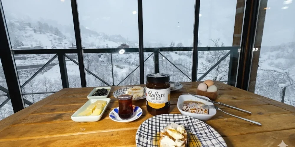 Kestane Balımızın Özelliği