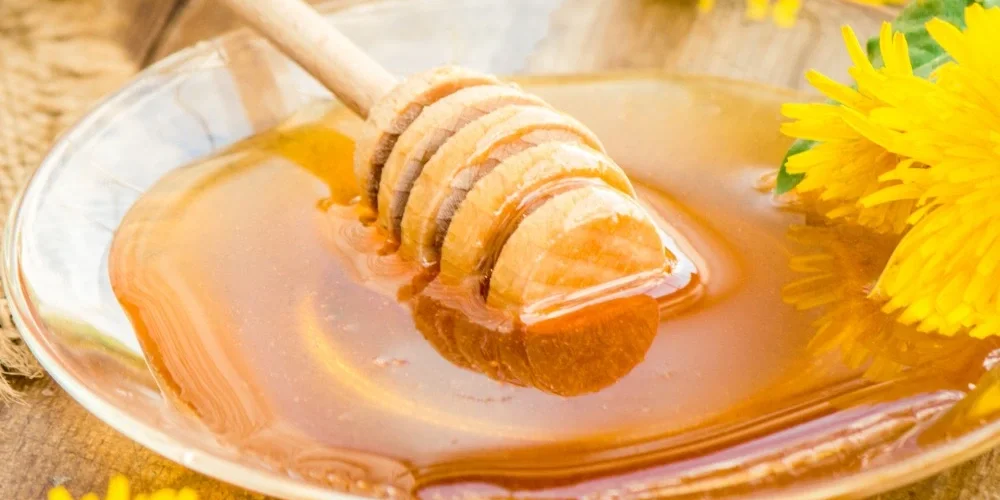 Organik Kestane Balı